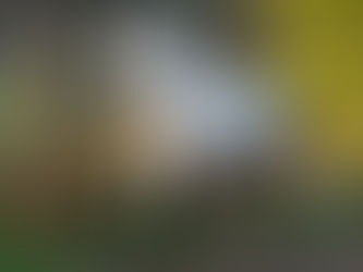 Anni-asiakkaan kokemus Teho-ohjelmasta