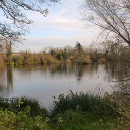 Work Party Announced - Fishers Green Consortium 