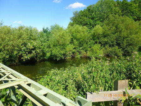 RIVER CLOSURE - Fishers Green Consortium