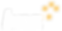BNZ-02.png