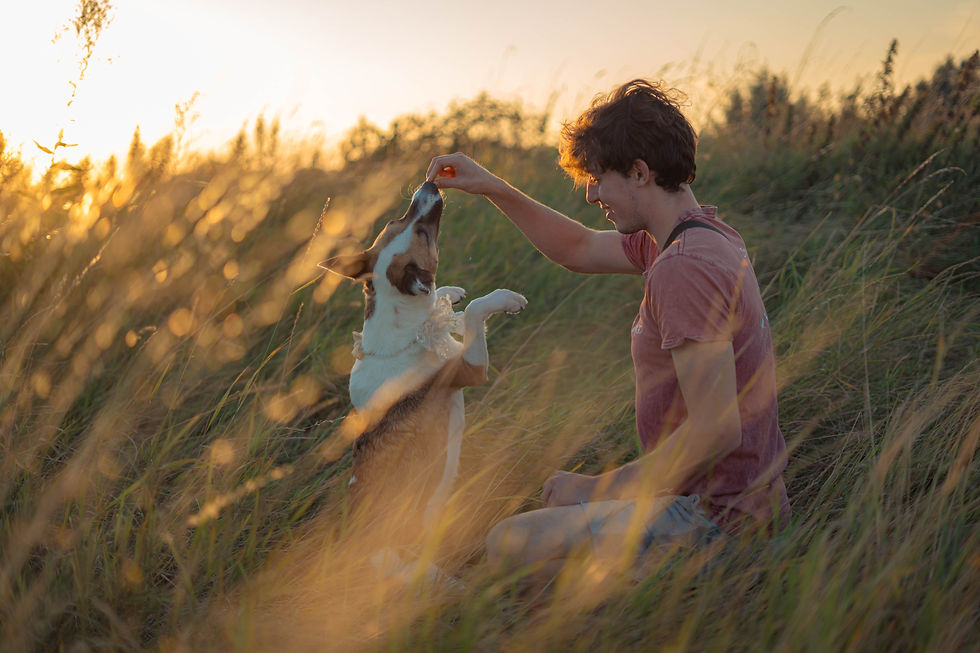 What is Concept Training?