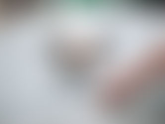 "Sleepy Head". A Cute Trick for Dogs!