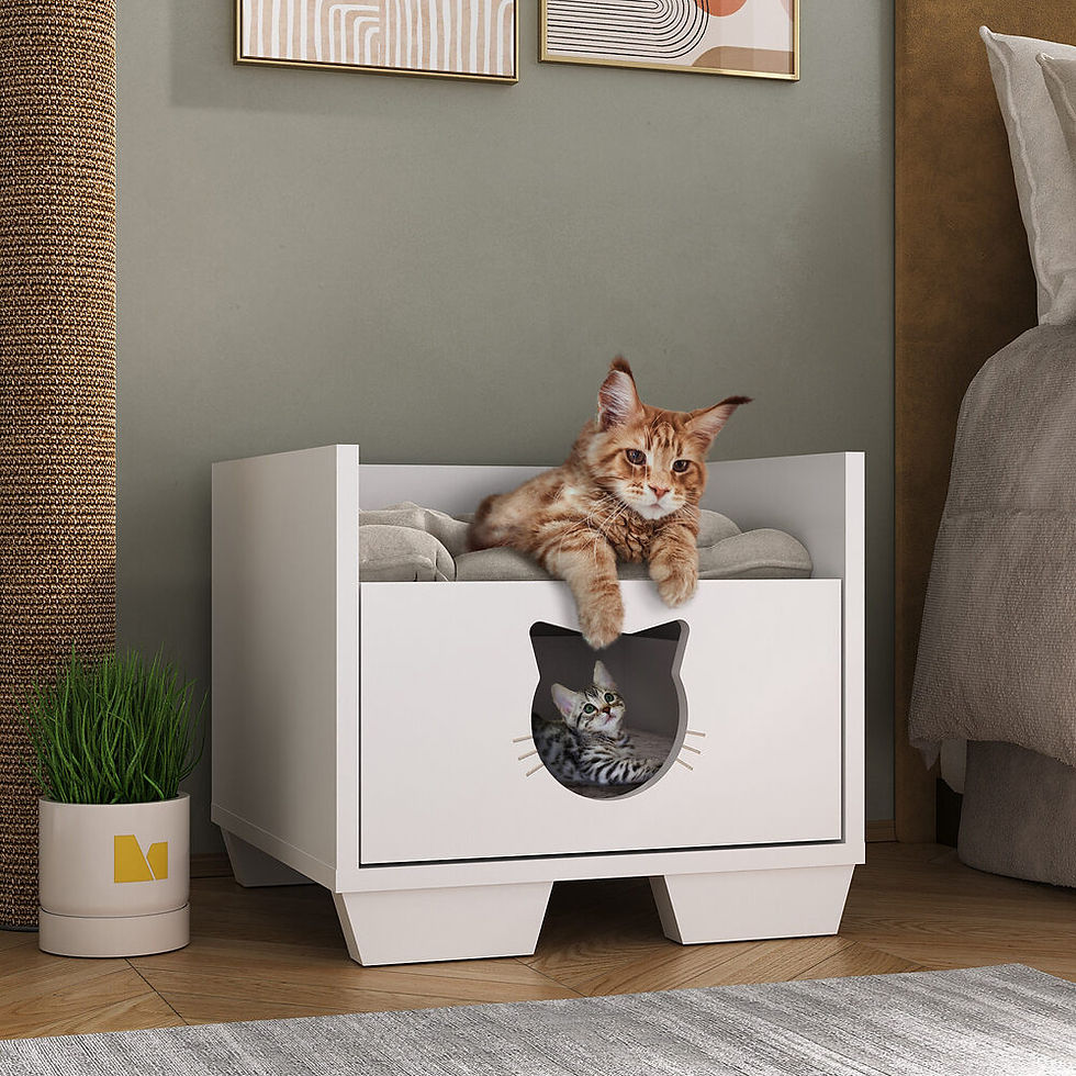 Miniatura: Cajón PET para gatos