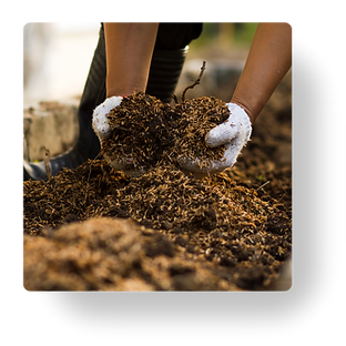 Untitled design (54).png