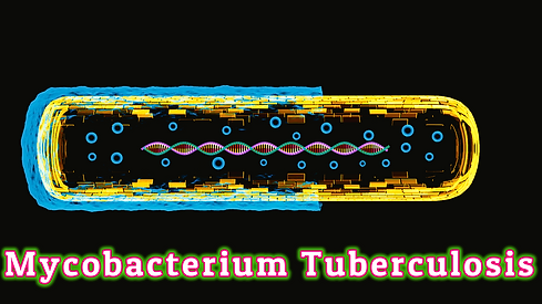 Mycobacterium Tuberculosis.PNG