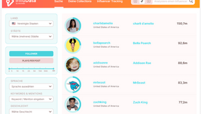 Social Media Influencer Such- und Analyse-Plattform