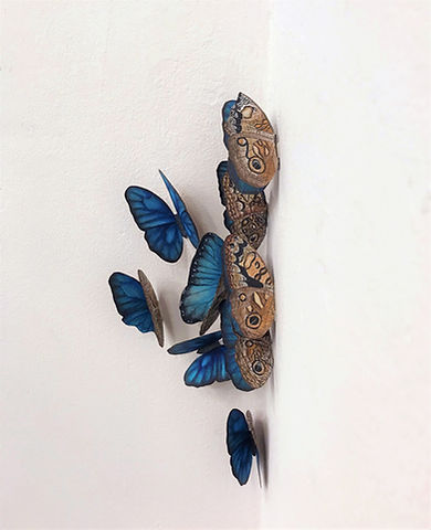 Pensées littérales.jpg