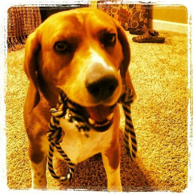 Swarley's new name is Sammy!