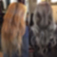 Gray ash color collection Hoyu color #ho
