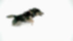 VIDEO0208_0000008835_edited.jpg