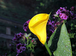 WhatsApp Image 2019-03-04 at 10.59