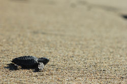 img_0503_13379504783_o
