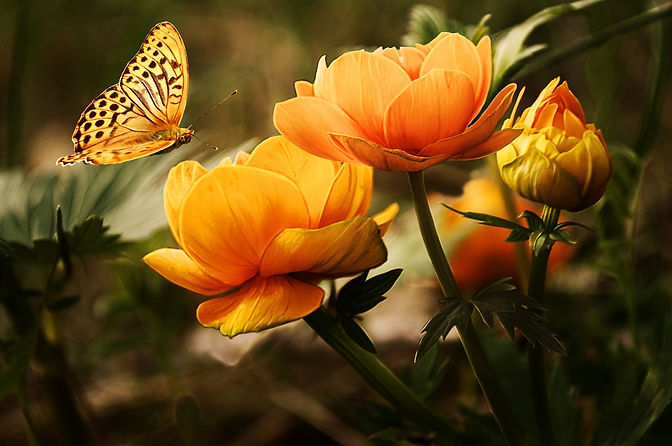 valeria-sammaruca-homepage.jpg