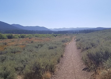 This is a great short loop for kids and beginners. Its under 3 miles with very little climbing. Some longer rides can also be done from this trailhead. Great views of Northstar and Martis Valley. Bike Truckee can help you plan you next bike adventure. Things to do in Truckee and Tahoe.