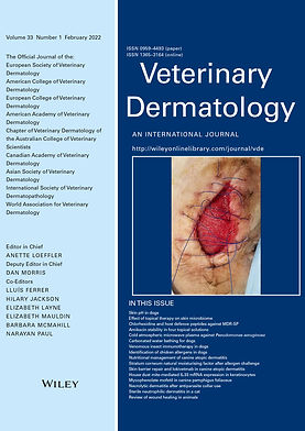 vde.v33.1.cover.jpg