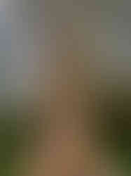 WhatsApp Image 2023-10-03 at 17.49.48.jpeg