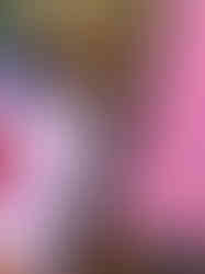 WhatsApp Image 2023-08-23 at 08.51.26 (1).jpeg