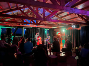 Green Rooms Sessies: muziek op het strand!