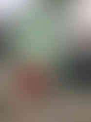 WhatsApp Image 2024-01-03 at 17.42.56.jpeg