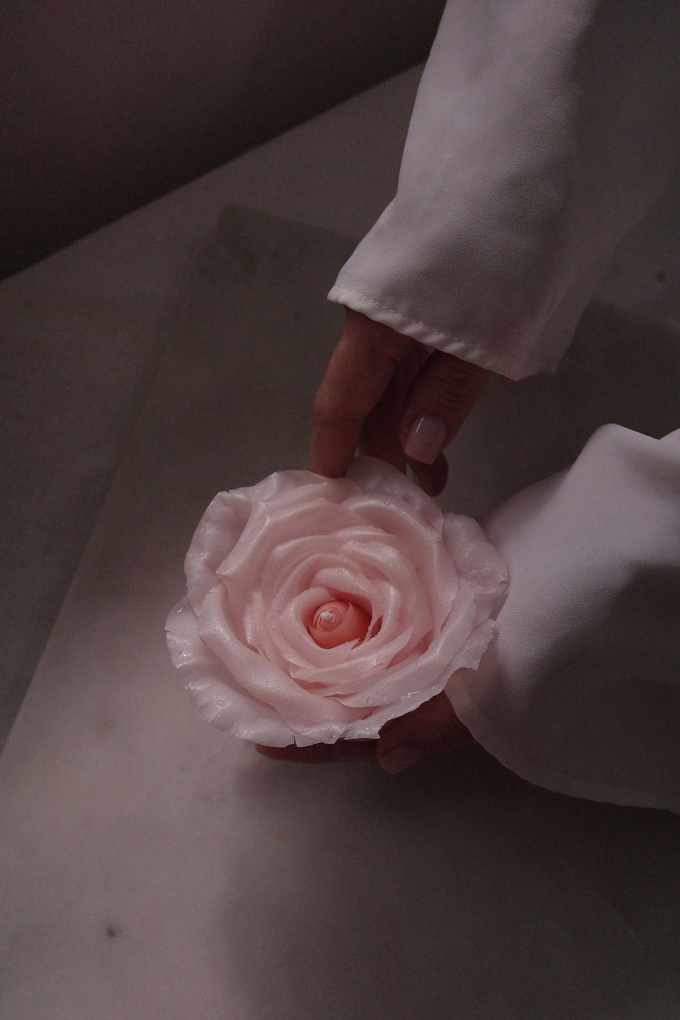 Thumbnail: Valentina Rose