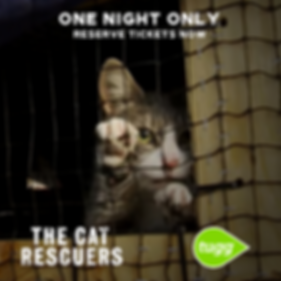 The Cat Rescuers Still 1 (1).png