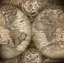 International ufo uap disclosure map background