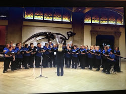 1Royal Ontario Museum