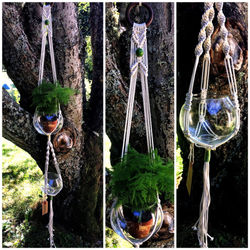 Suspension Dabala