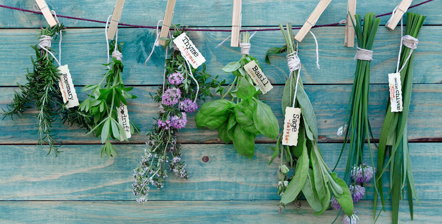 Hanging herbs.png