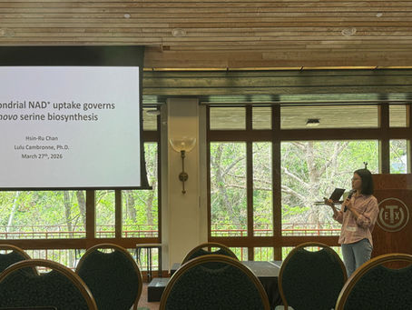 Students present work at MBS Retreat