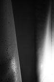 DSC02693.jpeg