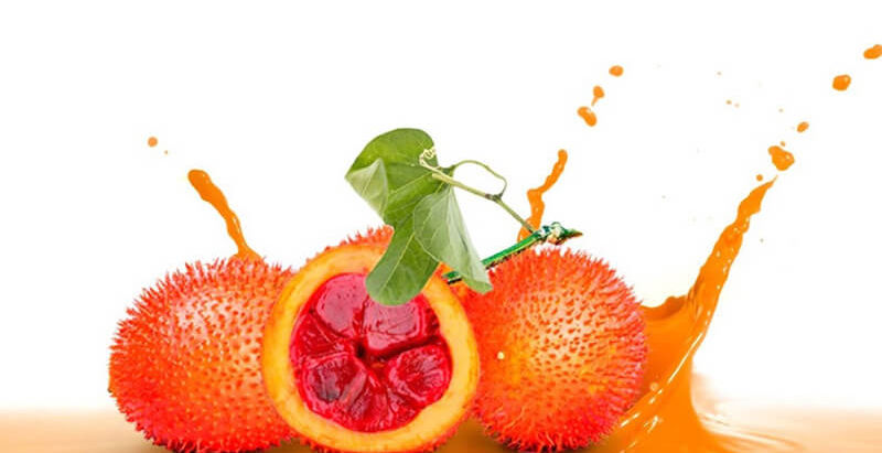 Cách Chữa Quai Bị Bằng Hạt Gấc Hiệu Quả, An Toàn Nhất