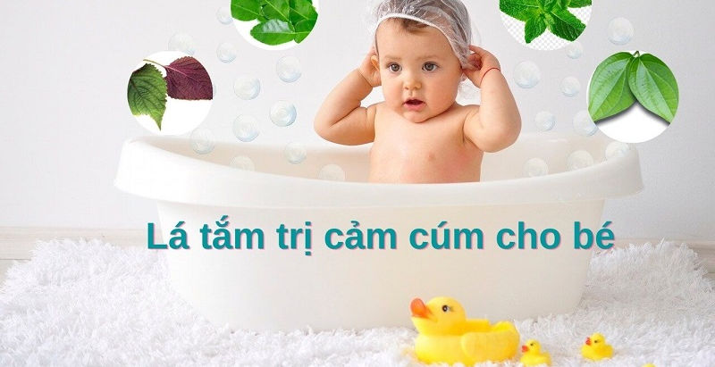 Top 10 Loại Lá Tắm Trị Cảm Cúm Cho Bé Hiệu Quả
