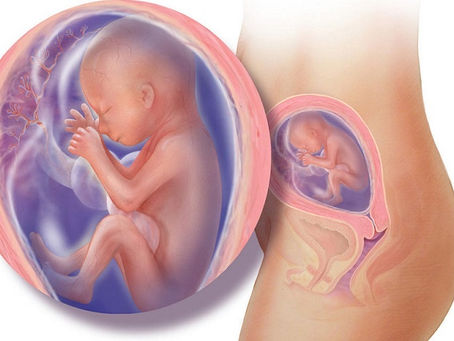 Cảm Cúm Khi Mang Thai Tháng Thứ 5 Liệu Có Nguy Hiểm?