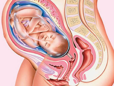 Cảm Cúm Khi Mang Thai Tháng Thứ 7 Nguy Hiểm Như Thế Nào?