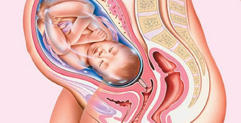 Cảm Cúm Khi Mang Thai Tháng Thứ 7 Nguy Hiểm Như Thế Nào?