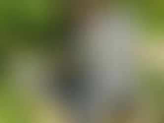 O întrebare esențială: Pentru cine este monumentul funerar?