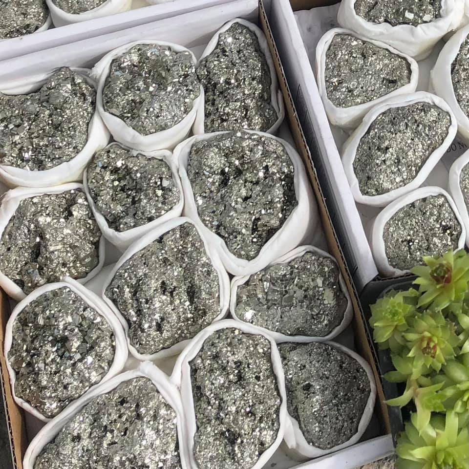 Pirita Bruta - Harmeia