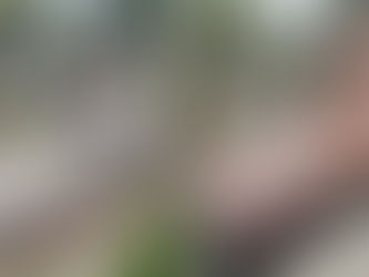 Când este momentul să realizăm un monument funerar și cum procedăm in 2025