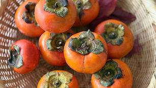 柿の木を植えると家が栄える