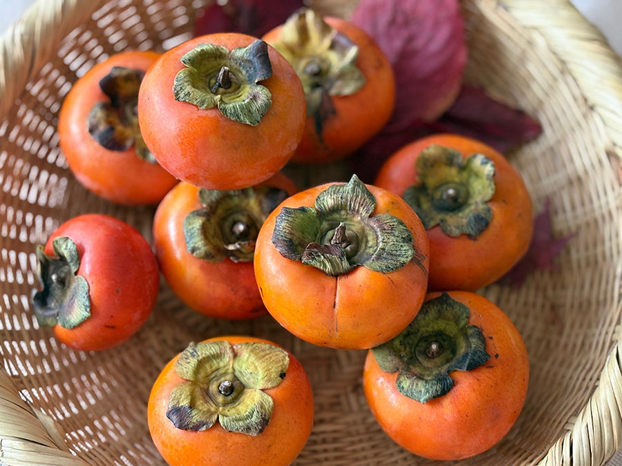 柿の木を植えると家が栄える