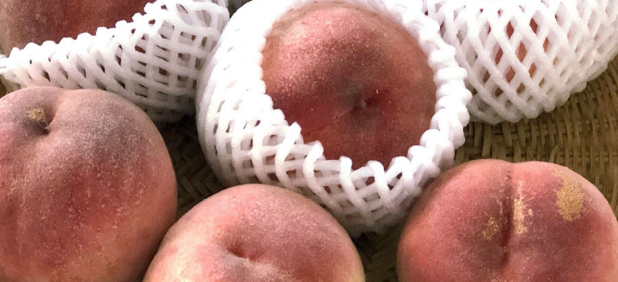 美味しいだけじゃない!縁起にあやかりたい桃。