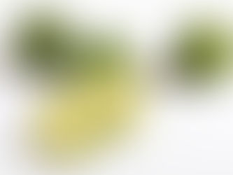ビタミンCたっぷりのすだち
