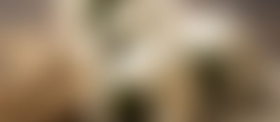 おにぎりに愛をこめて