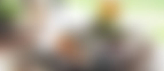 八ヶ岳南麓の古民家レストラン「キッチンオハナ」で極上のヴィーガン料理とスイーツを召し上がれ。