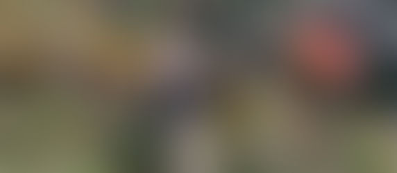 しなやかに生きる vol.6