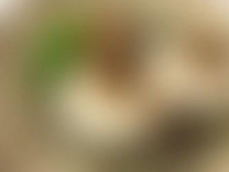 春一番の解毒のおくすり「ふきみそ」