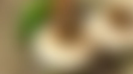 春一番の解毒のおくすり「ふきみそ」