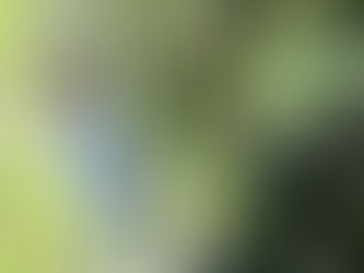 からだのサビ予防に!ブルーベリー