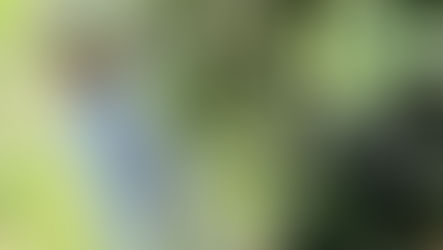 からだのサビ予防に!ブルーベリー
